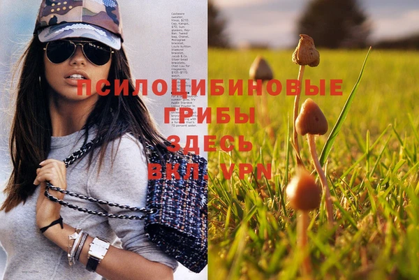 бутират Вяземский